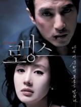 罗曼史最新爆料,明星恋情背后的甜蜜与波折