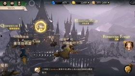 迷你巫师爆料视频大全最新,揭秘神秘魔法世界背后的秘密