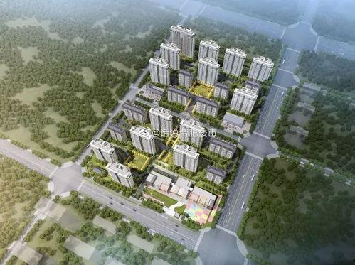 祥生爆料最新消息,揭秘行业内幕，独家消息引发热议