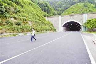 武山隧道爆料视频最新,最新爆料视频曝光惊人内幕