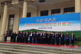 北京兴安盟最新爆料信息,揭秘神秘事件背后的真相